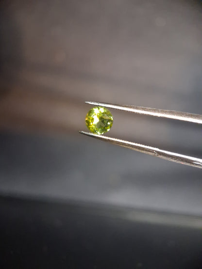 Natural Peridot - 0.515 ct - round - unheated- green peridot - Natural Gems Belgium