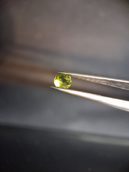 Natural Peridot - 0.515 ct - round - unheated- green peridot - Natural Gems Belgium