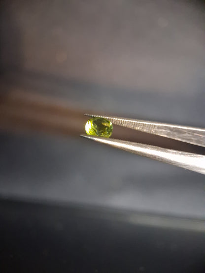 Natural Peridot - 0.515 ct - round - unheated- green peridot - Natural Gems Belgium