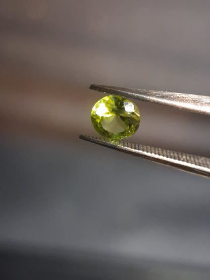 Natural Peridot - 0.515 ct - round - unheated- green peridot - Natural Gems Belgium