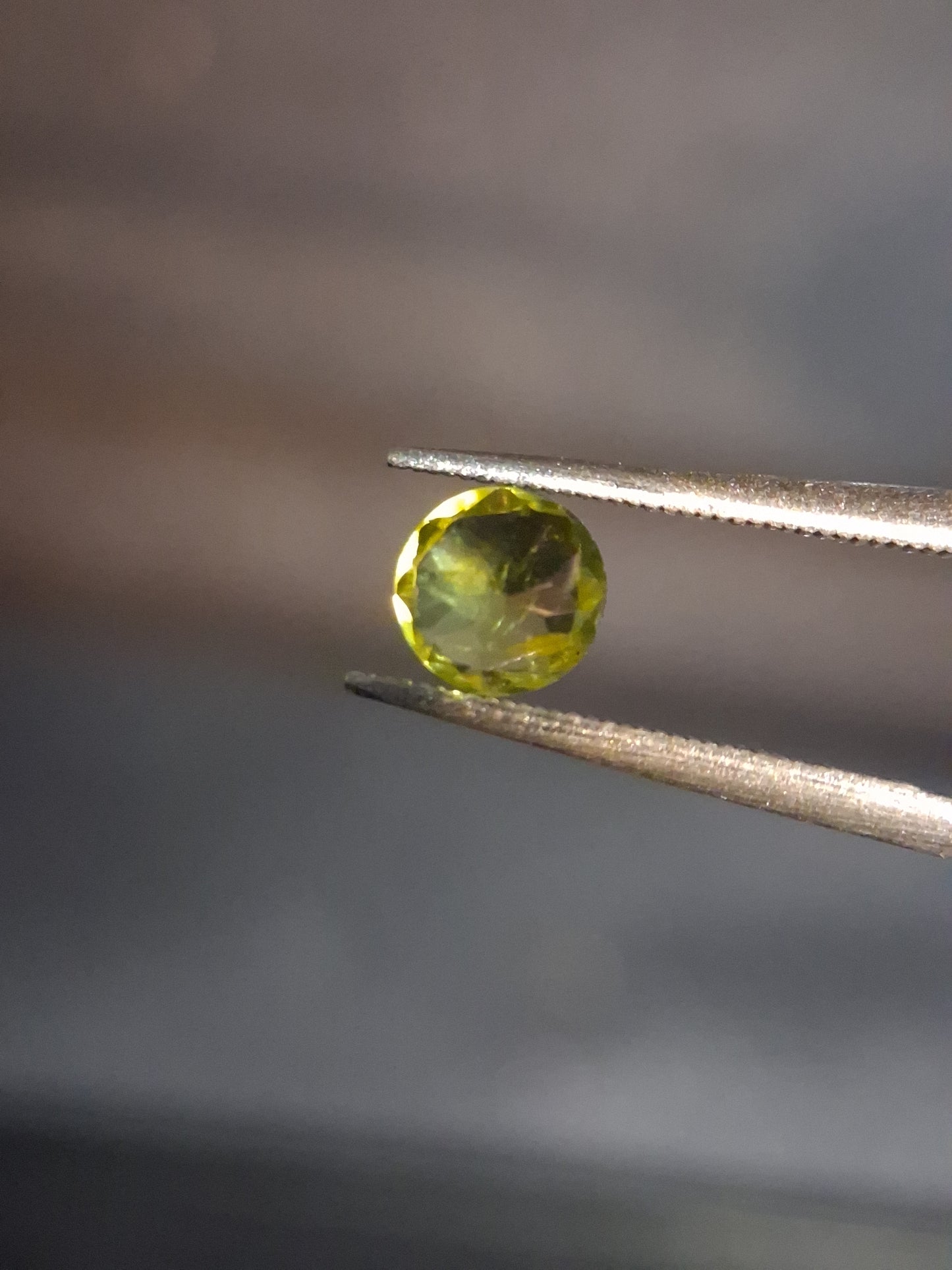 Natural Peridot - 0.515 ct - round - unheated- green peridot - Natural Gems Belgium