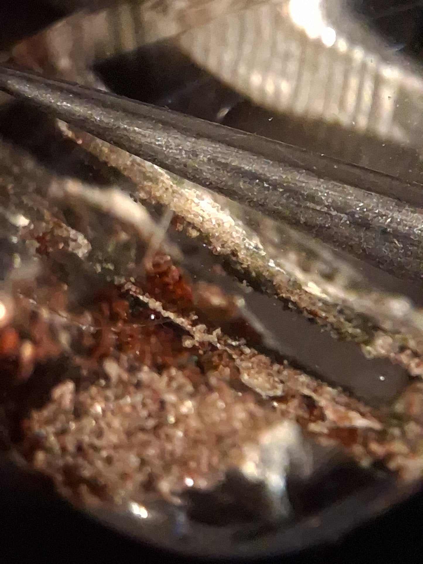 Natural Phantom Quartz - oval polished - 2.8 cm - beautiful multi-layered - Natural Gems Belgium