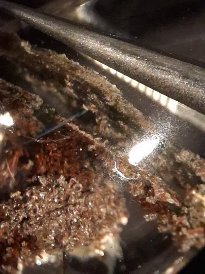 Natural Phantom Quartz - oval polished - 2.8 cm - beautiful multi-layered - Natural Gems Belgium