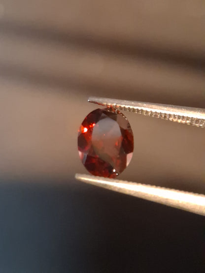 Natural Garnet - Rhodolite - 0.680 ct - oval - unheated- red - Natural Gems Belgium