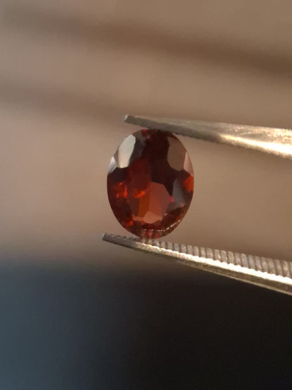 Natural Garnet - Rhodolite - 0.680 ct - oval - unheated- red - Natural Gems Belgium
