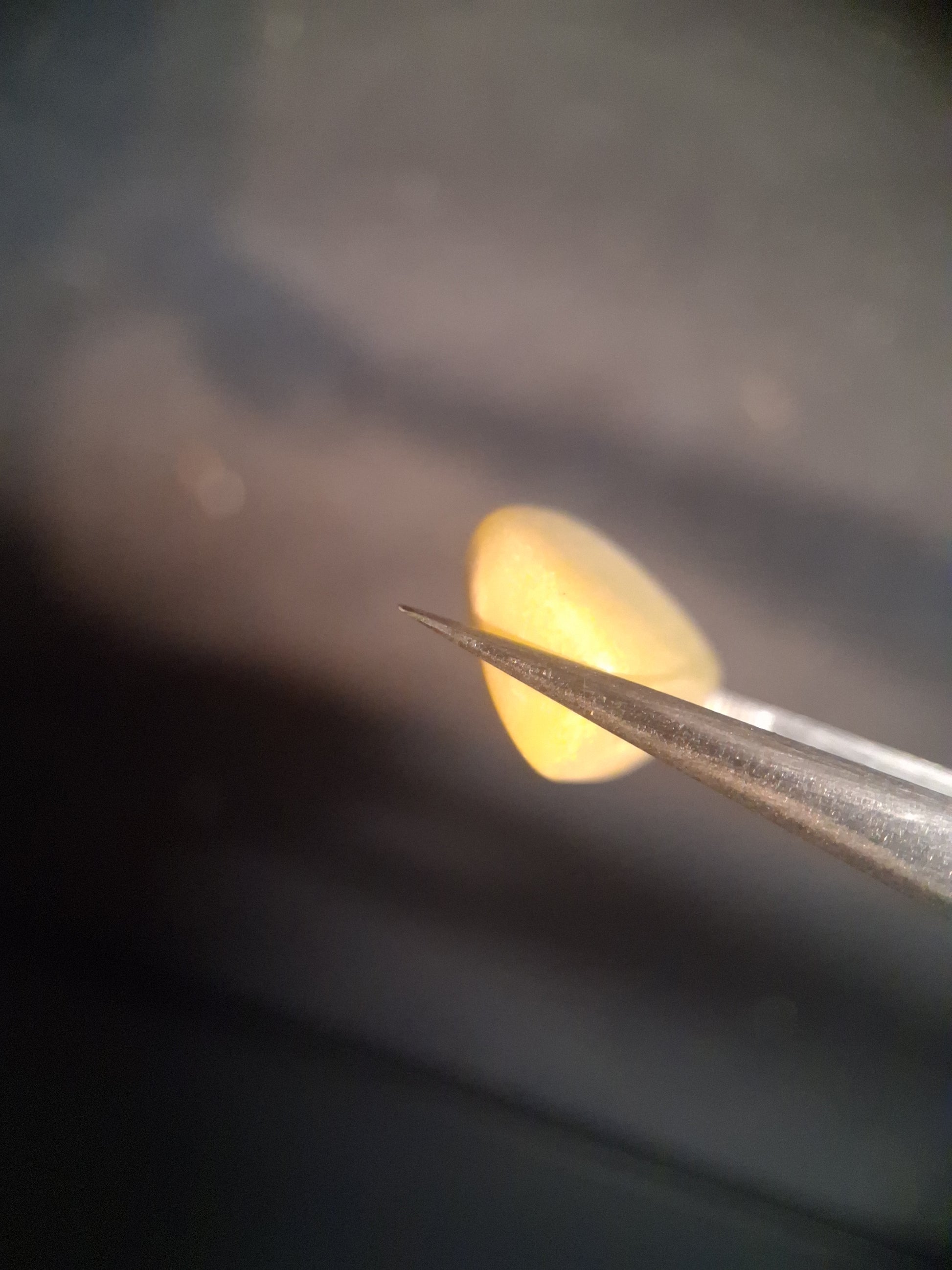 Natural Jade - lemon jade - tumbled jade - 11.205 ct - Natural Gems Belgium