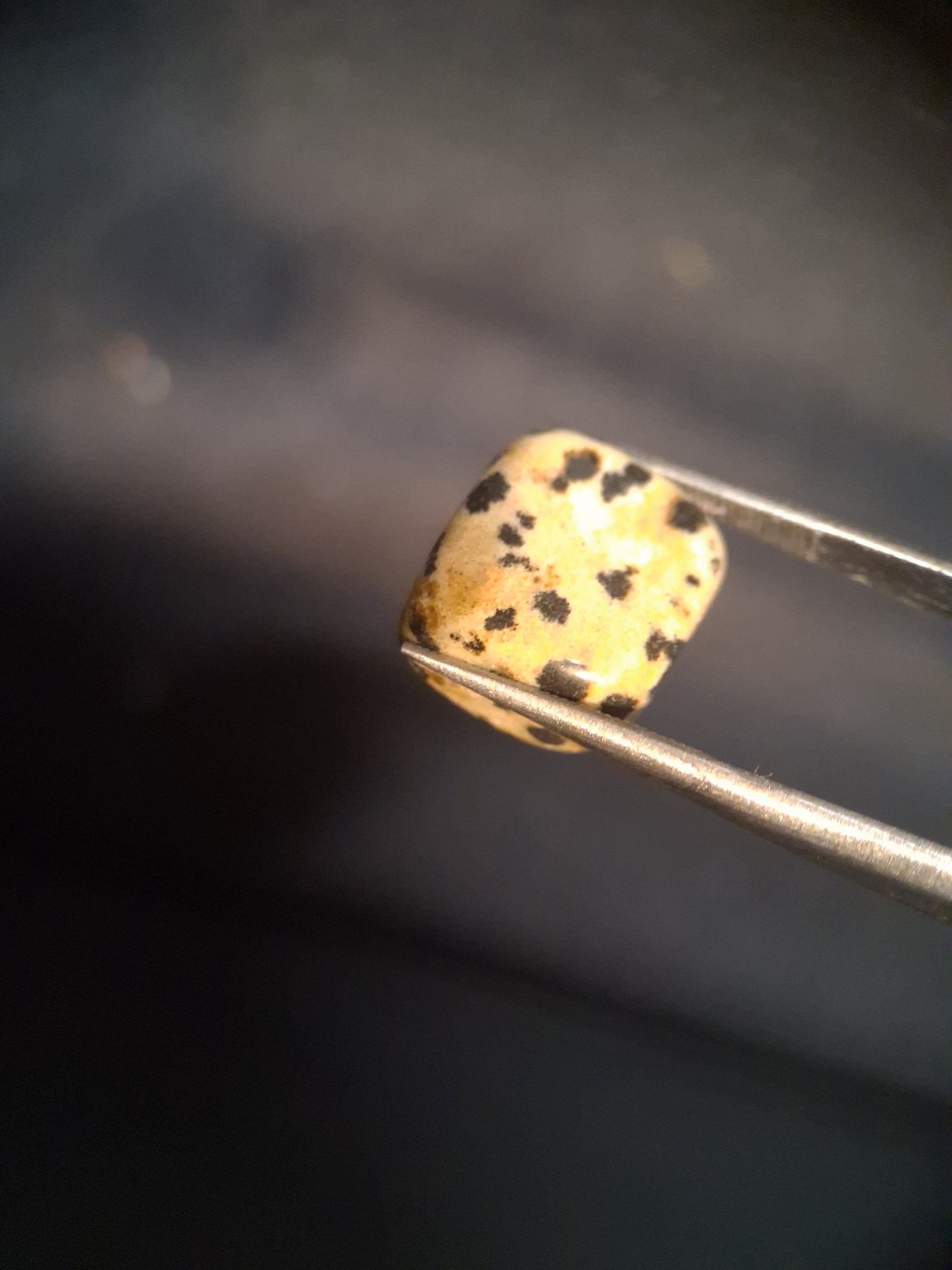 Natural Jasper - dalmatian jasper - tumbled jasper - 13.993 ct - Natural Gems Belgium