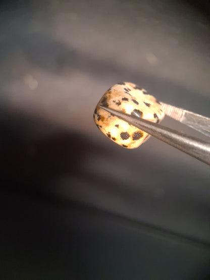 Natural Jasper - dalmatian jasper - tumbled jasper - 13.993 ct - Natural Gems Belgium