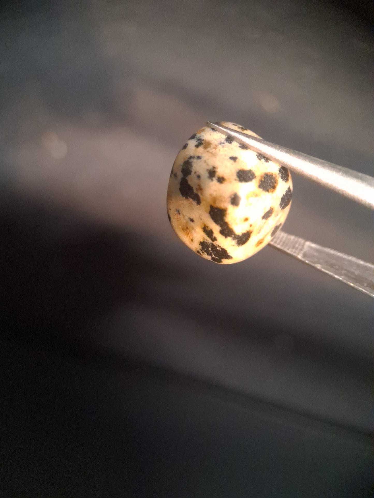 Natural Jasper - dalmatian jasper - tumbled jasper - 13.993 ct - Natural Gems Belgium