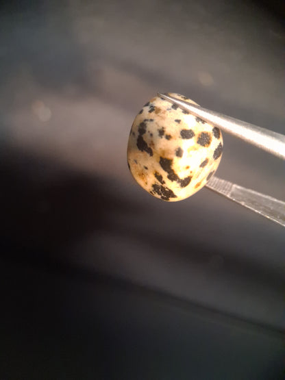 Natural Jasper - dalmatian jasper - tumbled jasper - 13.993 ct - Natural Gems Belgium