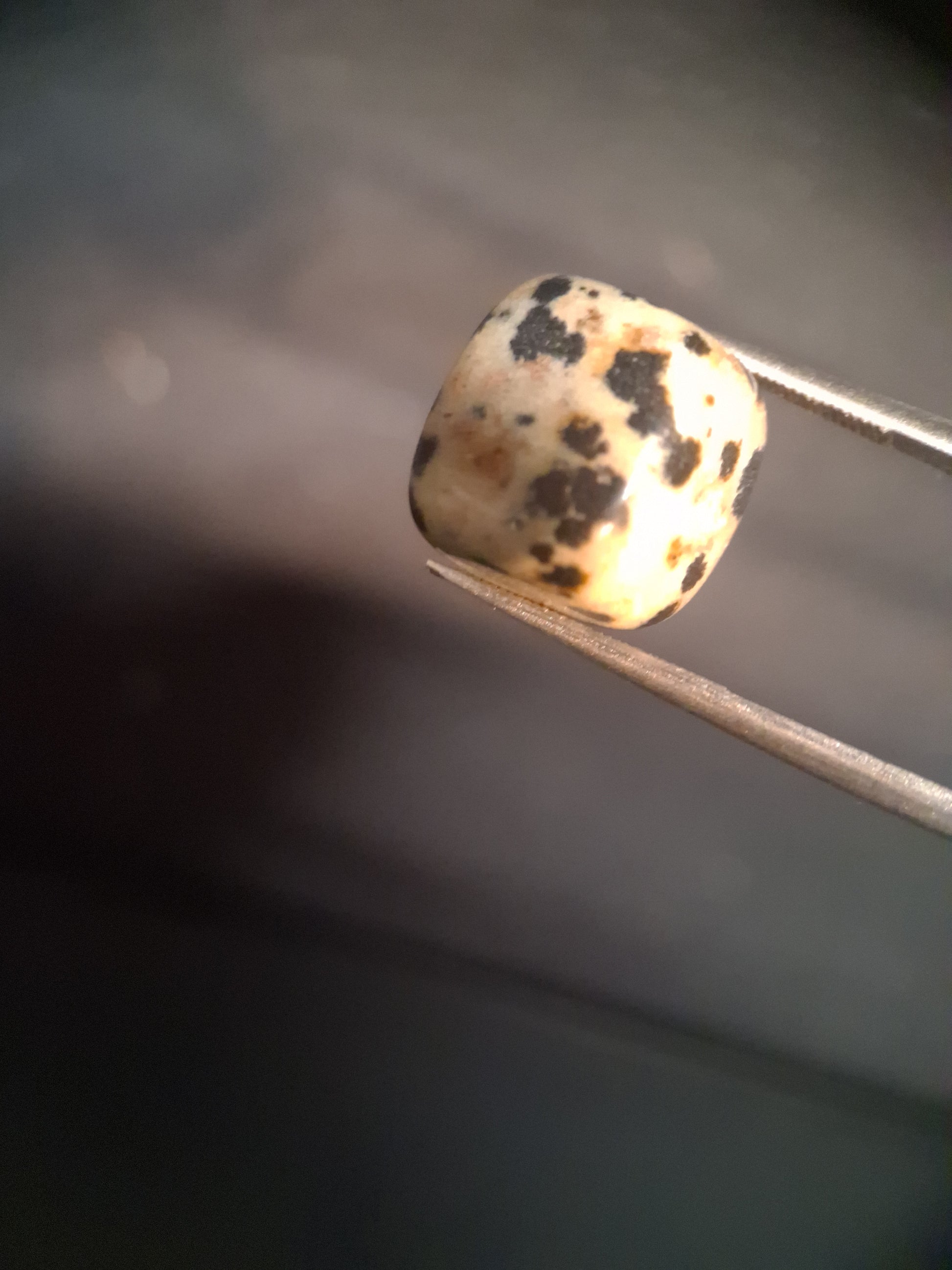 Natural Jasper - dalmatian jasper - tumbled jasper - 13.993 ct - Natural Gems Belgium