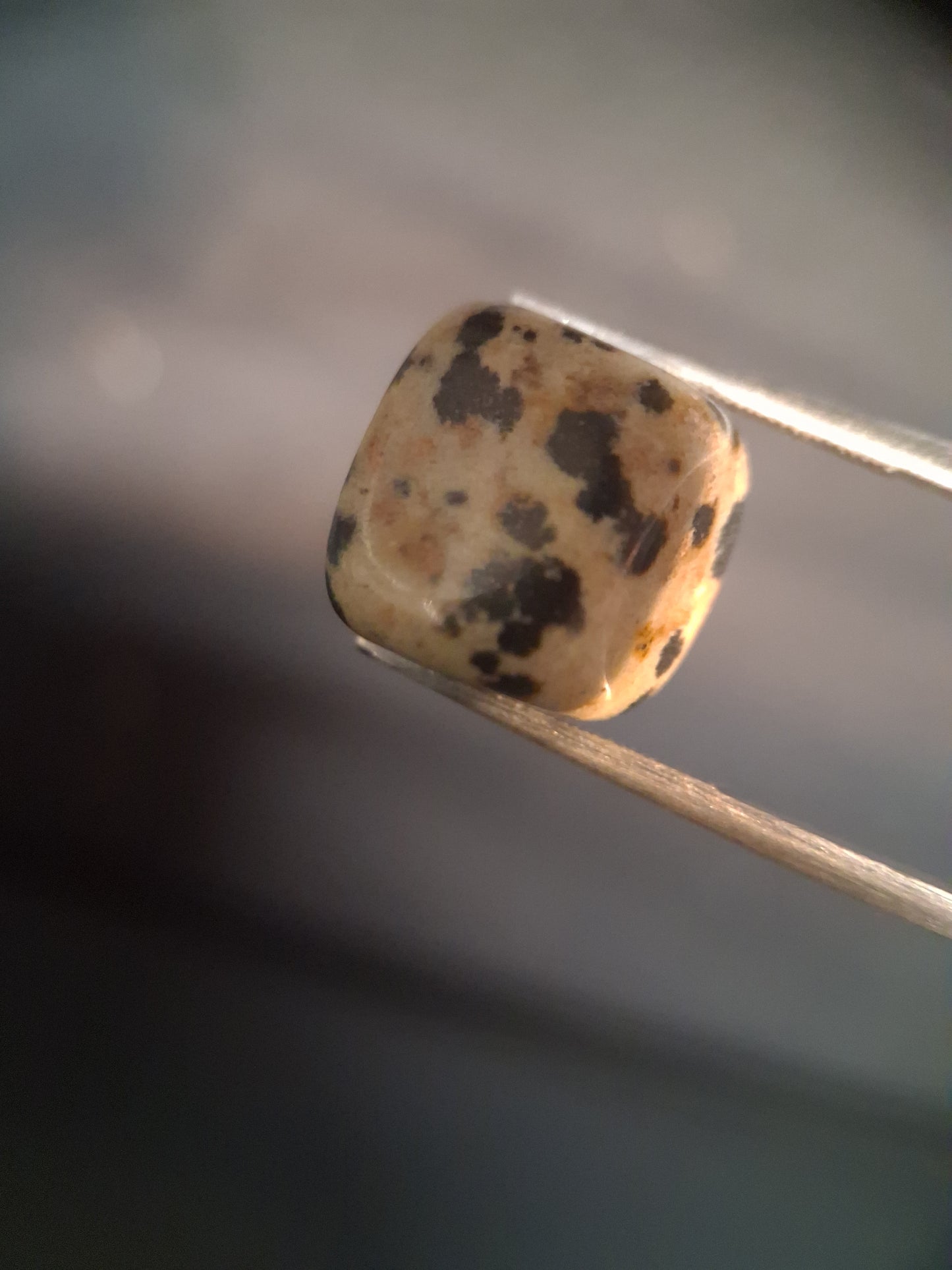 Natural Jasper - dalmatian jasper - tumbled jasper - 13.993 ct - Natural Gems Belgium