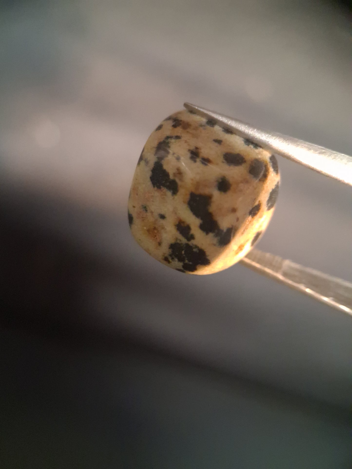 Natural Jasper - dalmatian jasper - tumbled jasper - 13.993 ct - Natural Gems Belgium