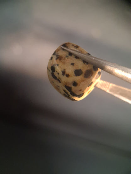 Natural Jasper - dalmatian jasper - tumbled jasper - 13.993 ct - Natural Gems Belgium