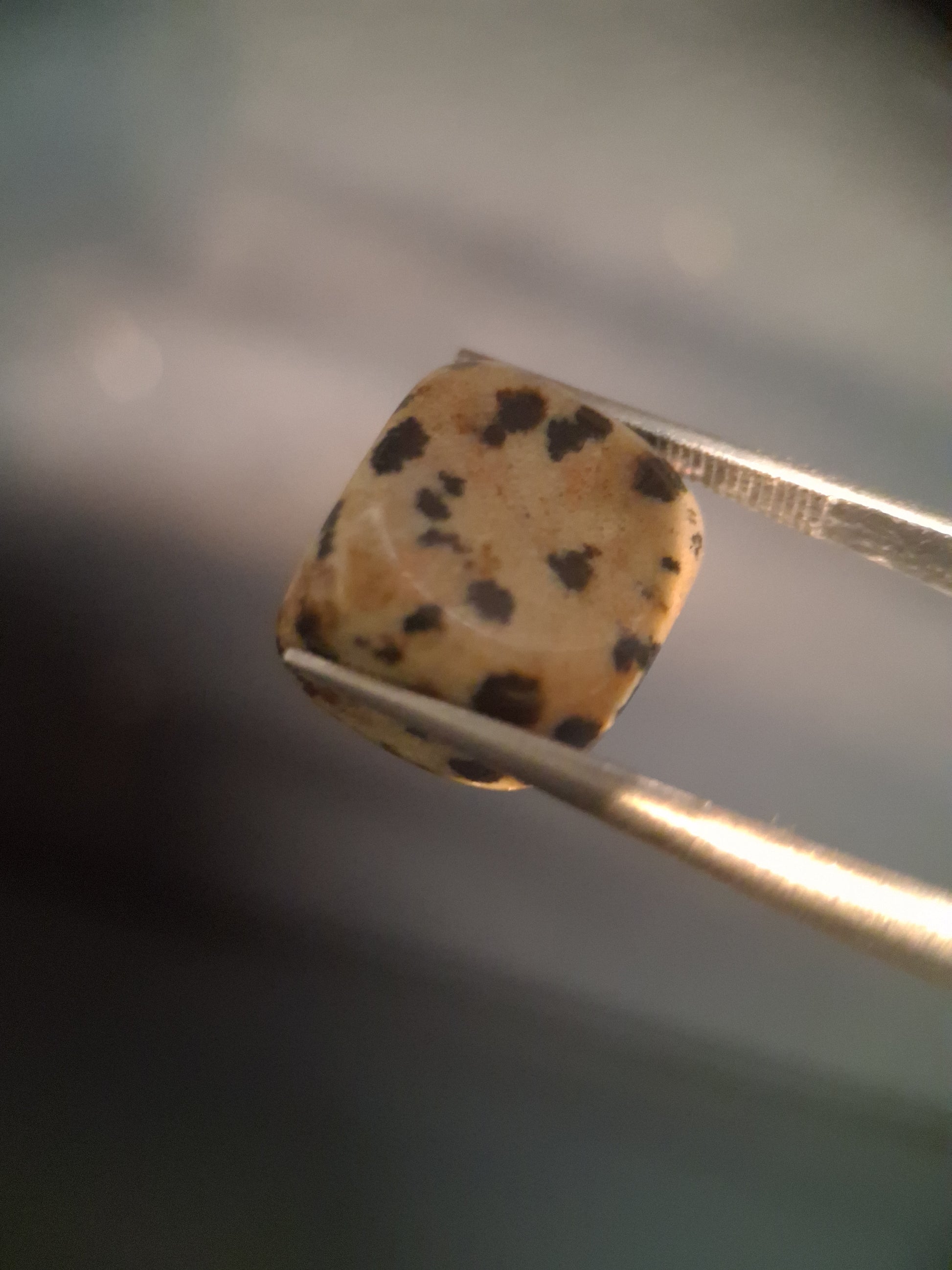 Natural Jasper - dalmatian jasper - tumbled jasper - 13.993 ct - Natural Gems Belgium