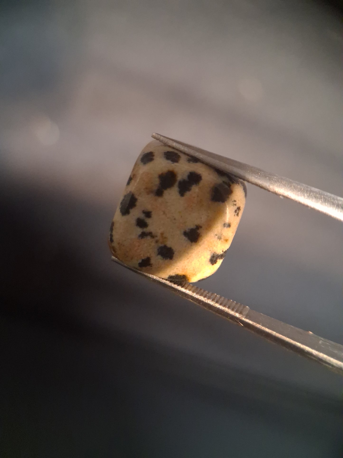 Natural Jasper - dalmatian jasper - tumbled jasper - 13.993 ct - Natural Gems Belgium