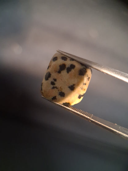 Natural Jasper - dalmatian jasper - tumbled jasper - 13.993 ct - Natural Gems Belgium