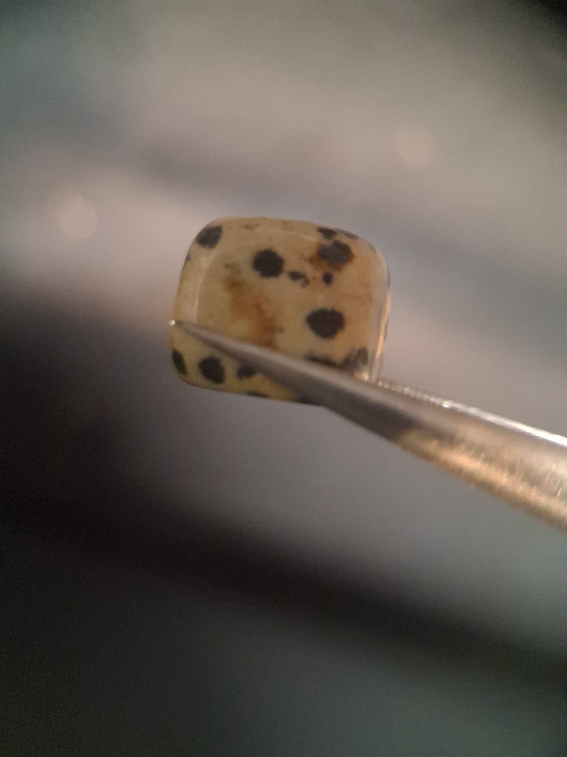 Natural Jasper - dalmatian jasper - tumbled jasper - 13.993 ct - Natural Gems Belgium