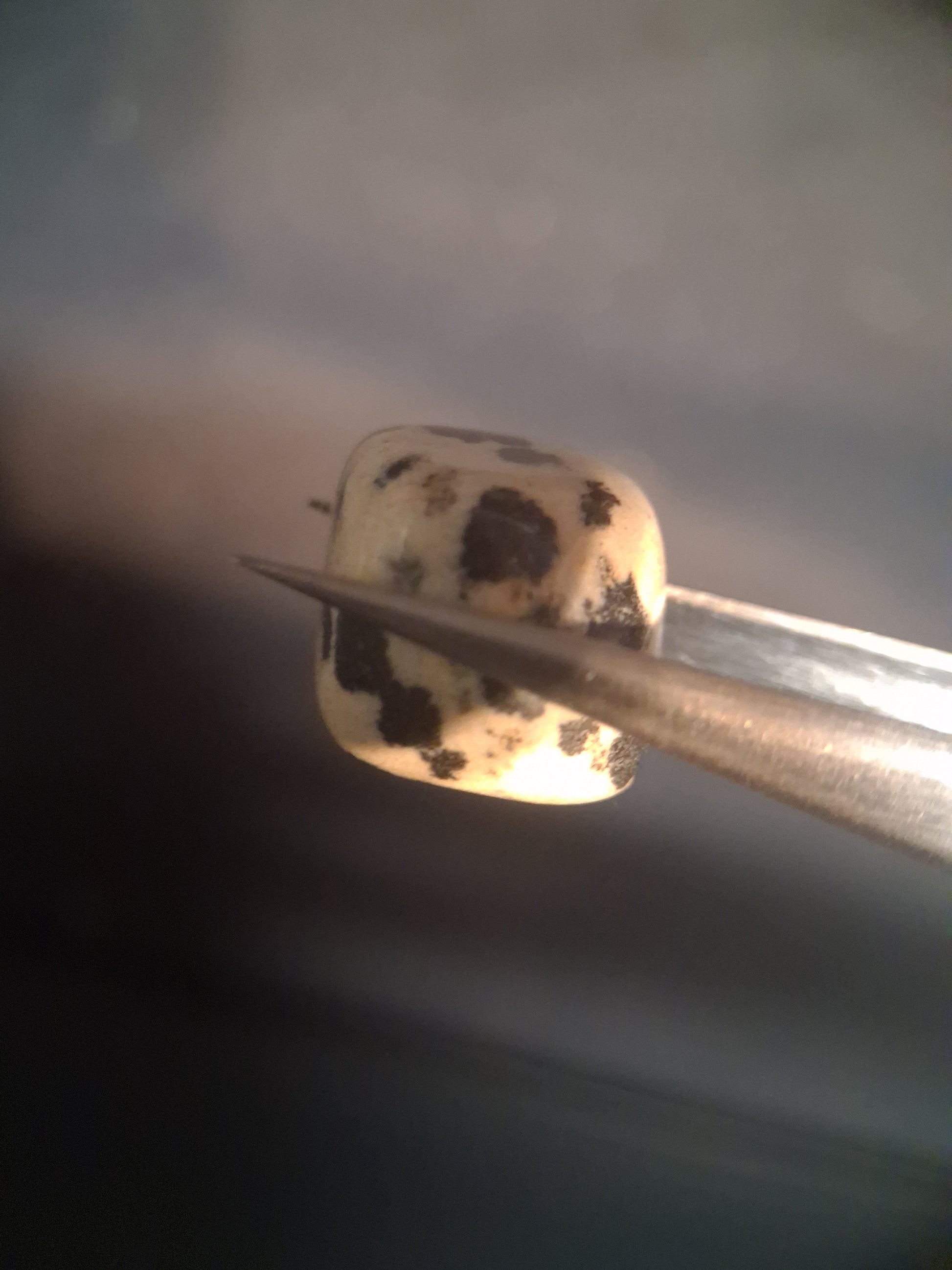 Natural Jasper - dalmatian jasper - tumbled jasper - 15.427 ct - Natural Gems Belgium