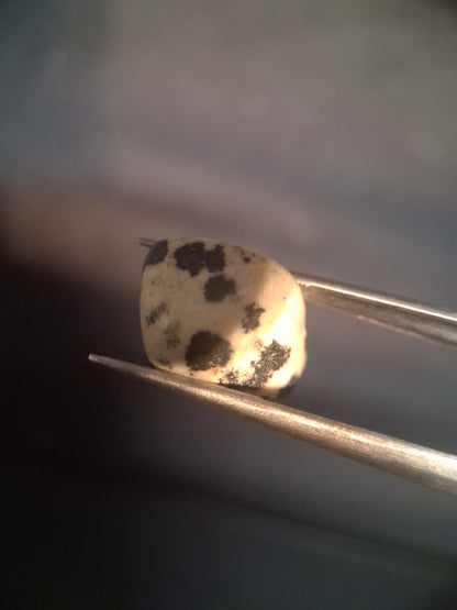 Natural Jasper - dalmatian jasper - tumbled jasper - 15.427 ct - Natural Gems Belgium