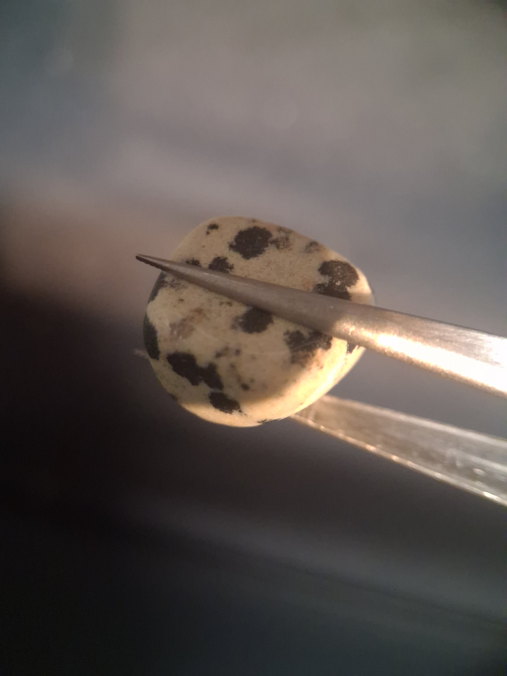 Natural Jasper - dalmatian jasper - tumbled jasper - 15.427 ct - Natural Gems Belgium