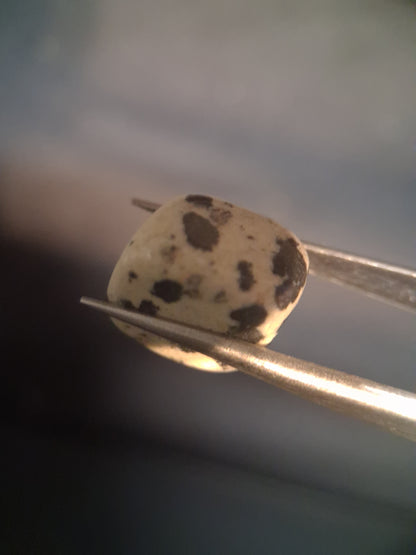 Natural Jasper - dalmatian jasper - tumbled jasper - 15.427 ct - Natural Gems Belgium