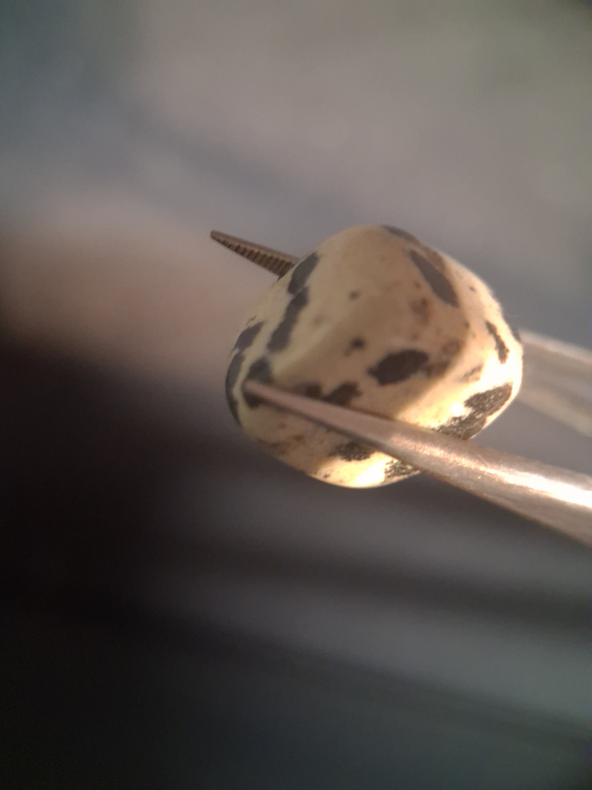 Natural Jasper - dalmatian jasper - tumbled jasper - 15.427 ct - Natural Gems Belgium