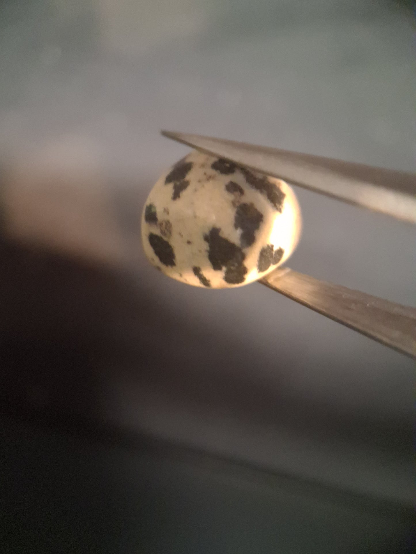 Natural Jasper - dalmatian jasper - tumbled jasper - 15.427 ct - Natural Gems Belgium