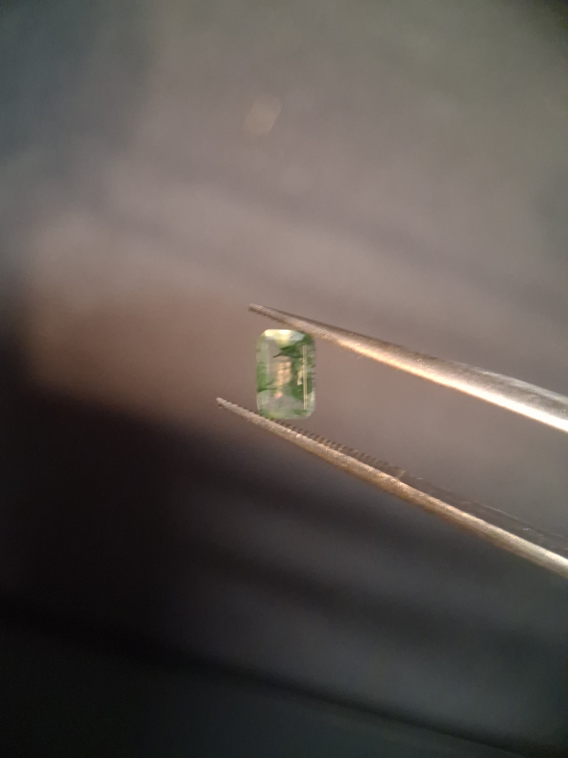 Natural Faceted Agate - Green Moss Agate - 0.481 ct - octagon - Natural Gems Belgium