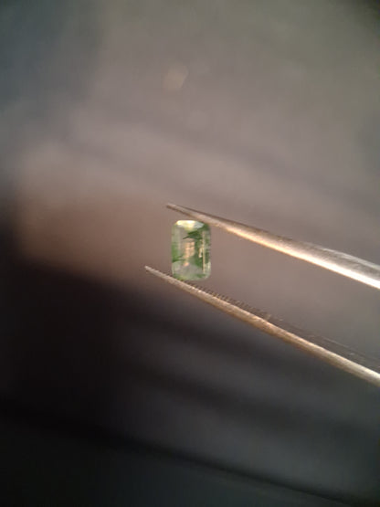 Natural Faceted Agate - Green Moss Agate - 0.481 ct - octagon - Natural Gems Belgium