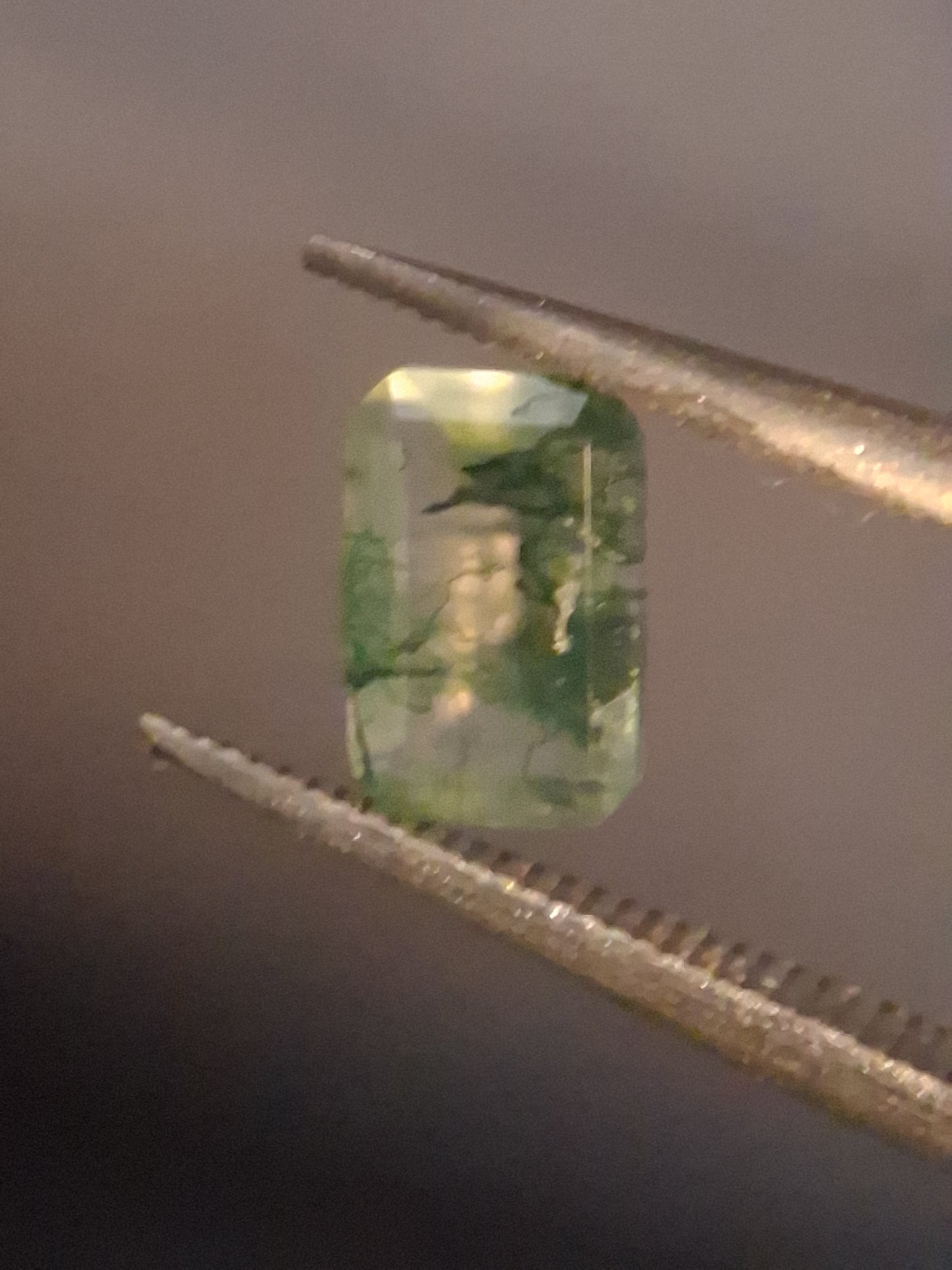 Natural Faceted Agate - Green Moss Agate - 0.481 ct - octagon - Natural Gems Belgium