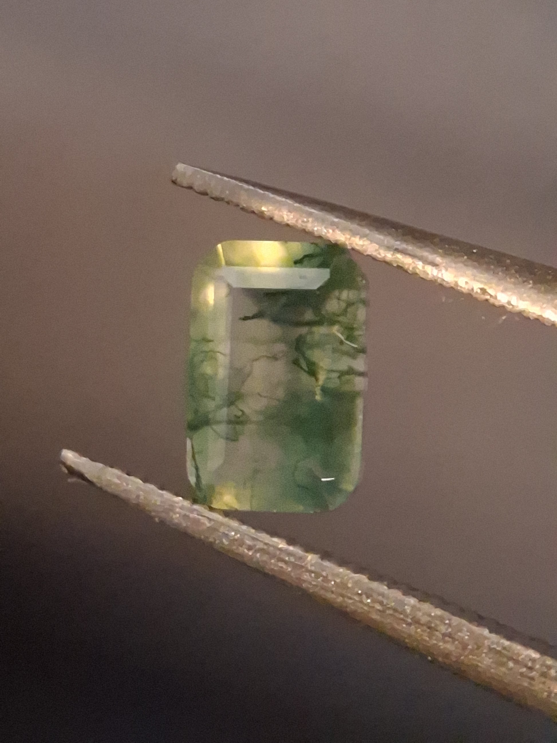 Natural Faceted Agate - Green Moss Agate - 0.481 ct - octagon - Natural Gems Belgium