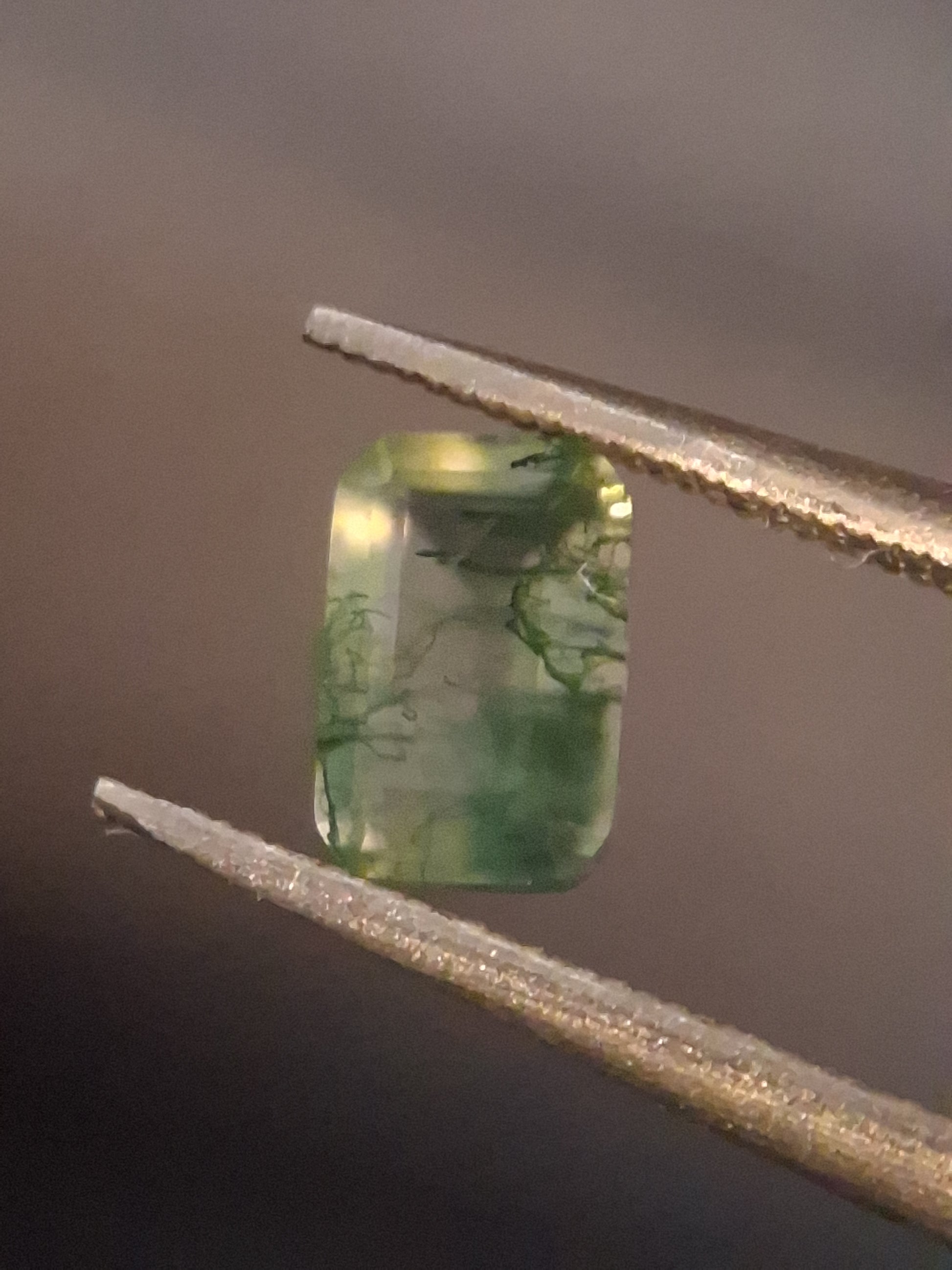 Natural Faceted Agate - Green Moss Agate - 0.481 ct - octagon - Natural Gems Belgium