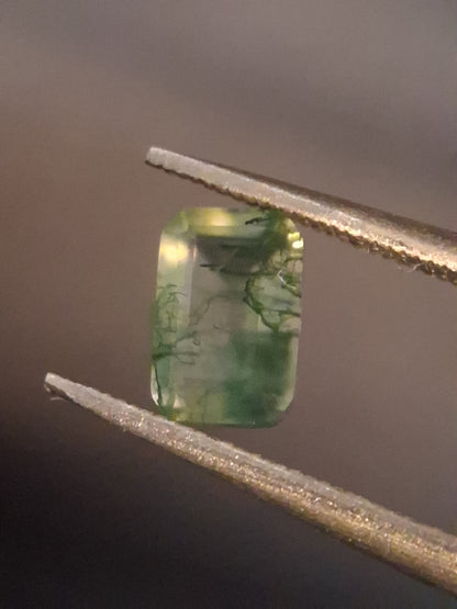 Natural Faceted Agate - Green Moss Agate - 0.481 ct - octagon - Natural Gems Belgium