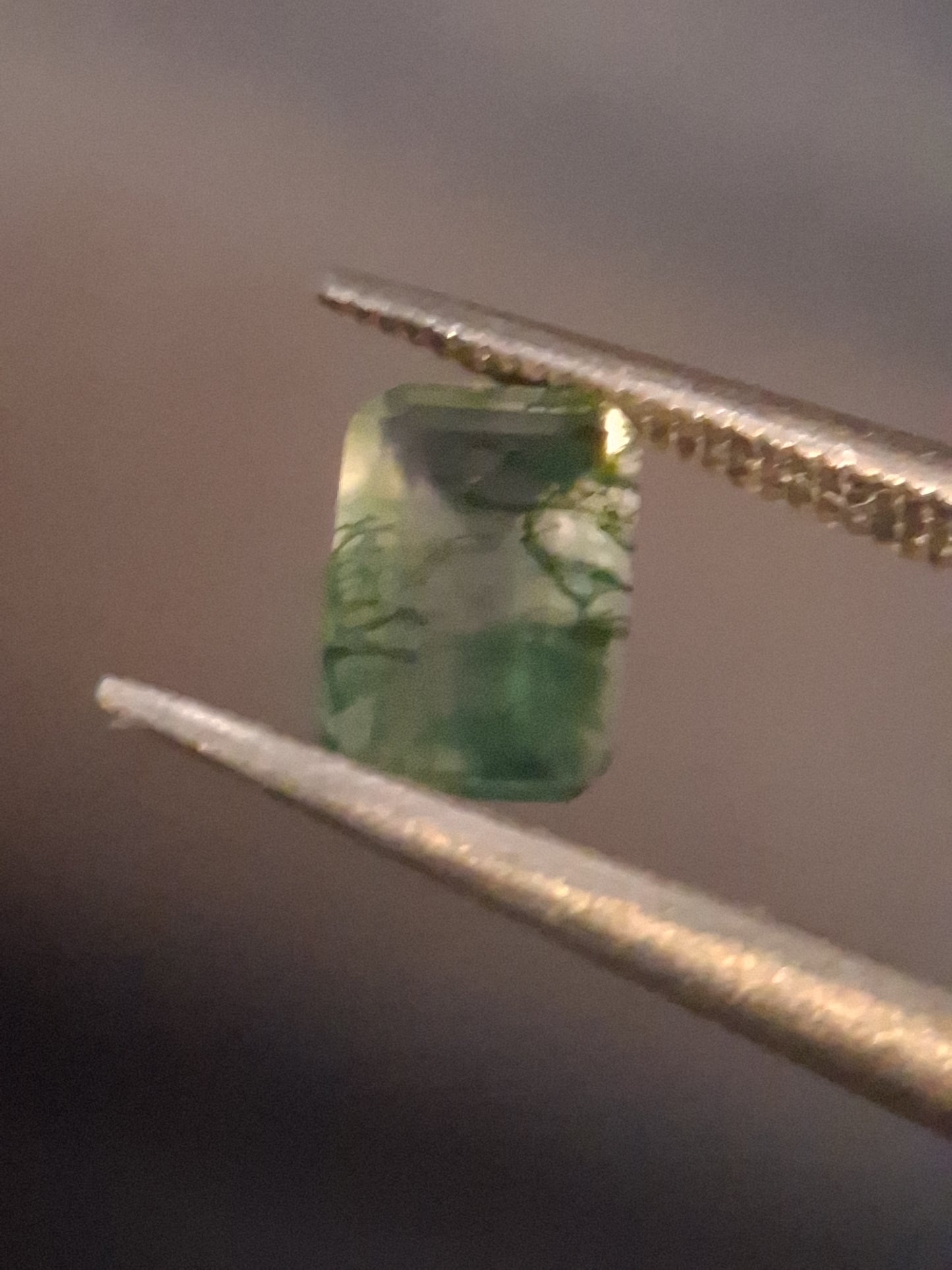 Natural Faceted Agate - Green Moss Agate - 0.481 ct - octagon - Natural Gems Belgium