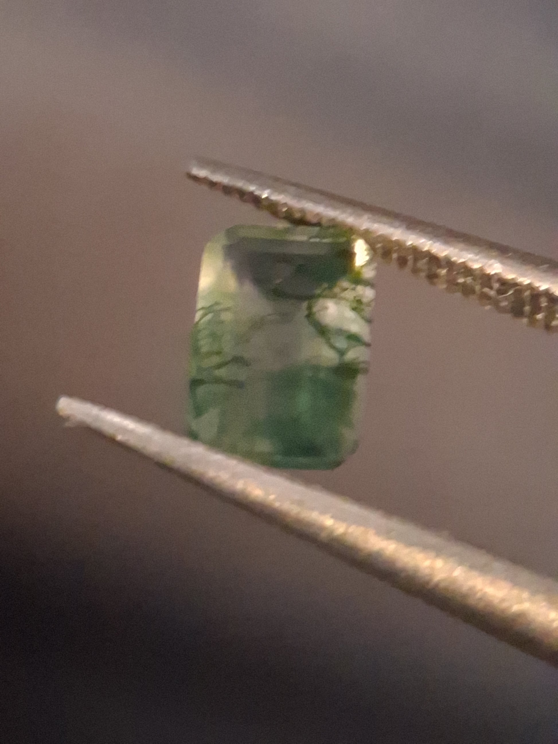 Natural Faceted Agate - Green Moss Agate - 0.481 ct - octagon - Natural Gems Belgium