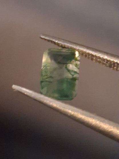 Natural Faceted Agate - Green Moss Agate - 0.481 ct - octagon - Natural Gems Belgium