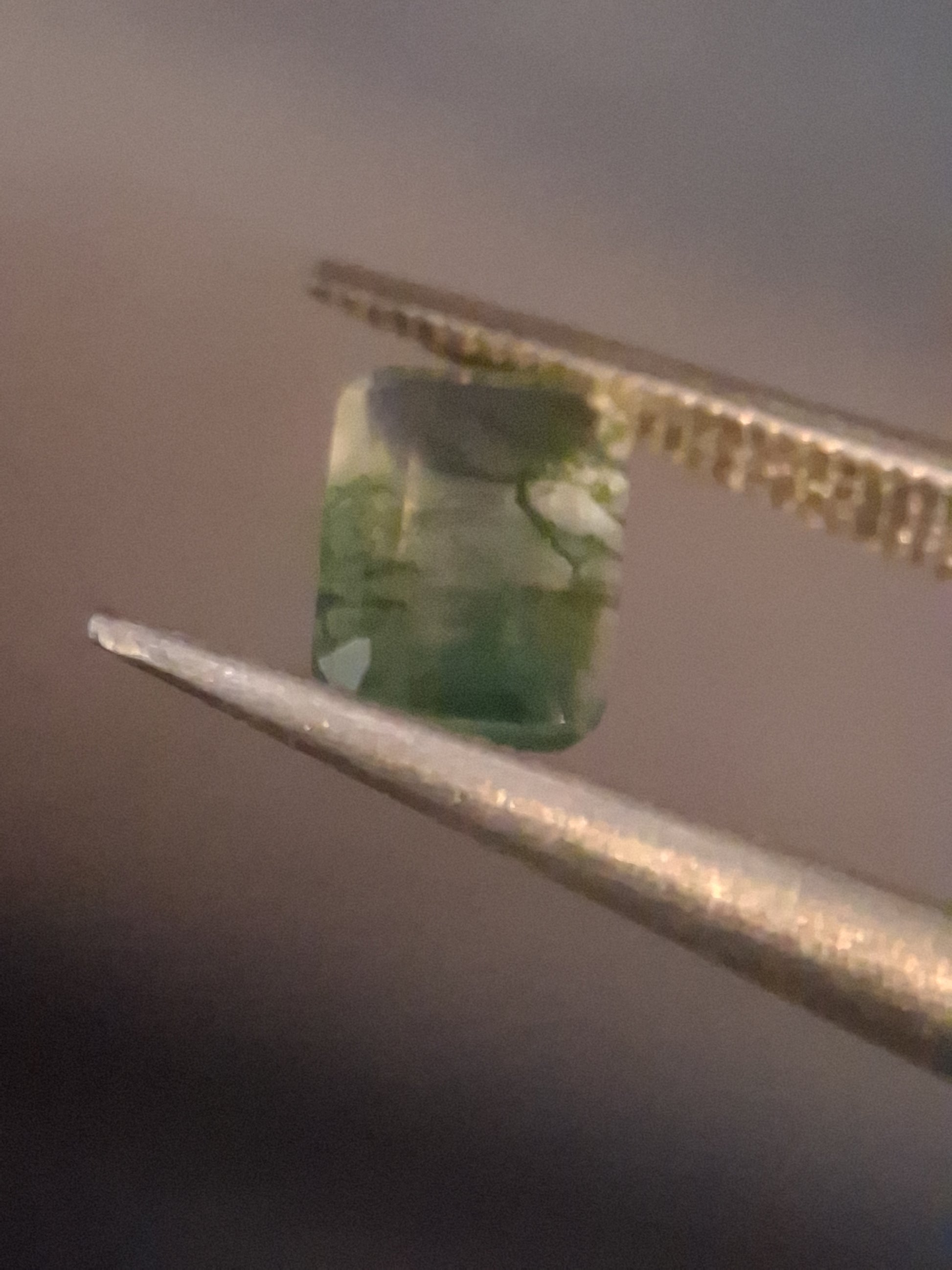 Natural Faceted Agate - Green Moss Agate - 0.481 ct - octagon - Natural Gems Belgium