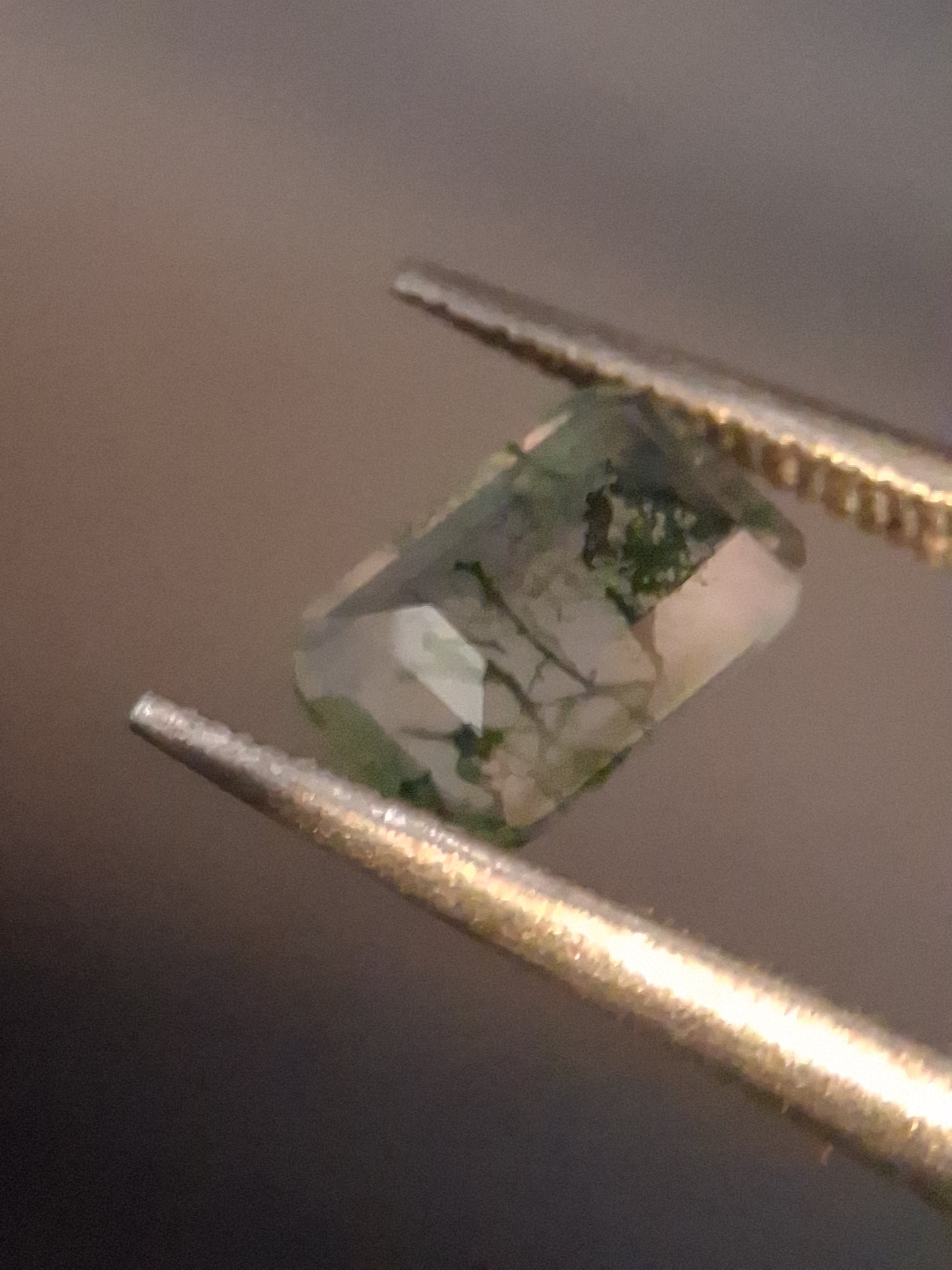 Natural Faceted Agate - Green Moss Agate - 0.481 ct - octagon - Natural Gems Belgium