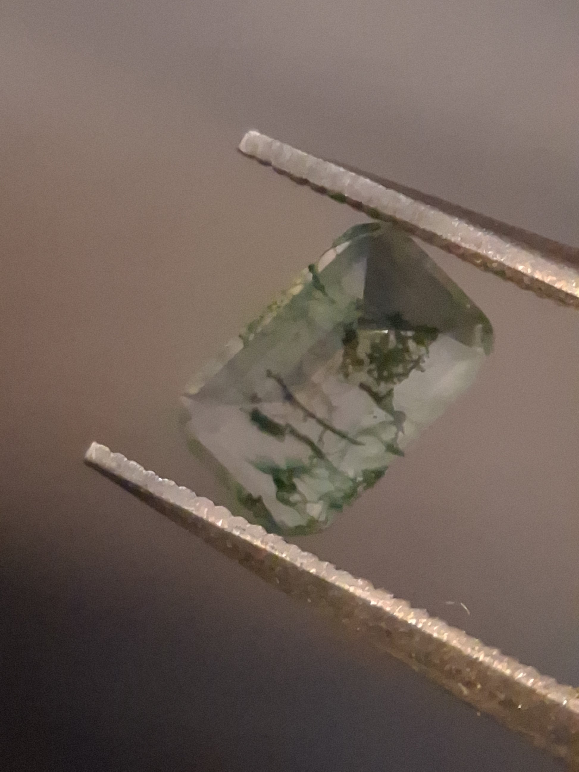 Natural Faceted Agate - Green Moss Agate - 0.481 ct - octagon - Natural Gems Belgium