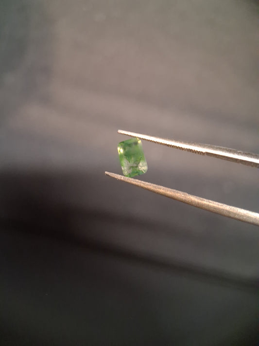 Natural Faceted Agate - Green Moss Agate - 0.480 ct - octagon - Natural Gems Belgium