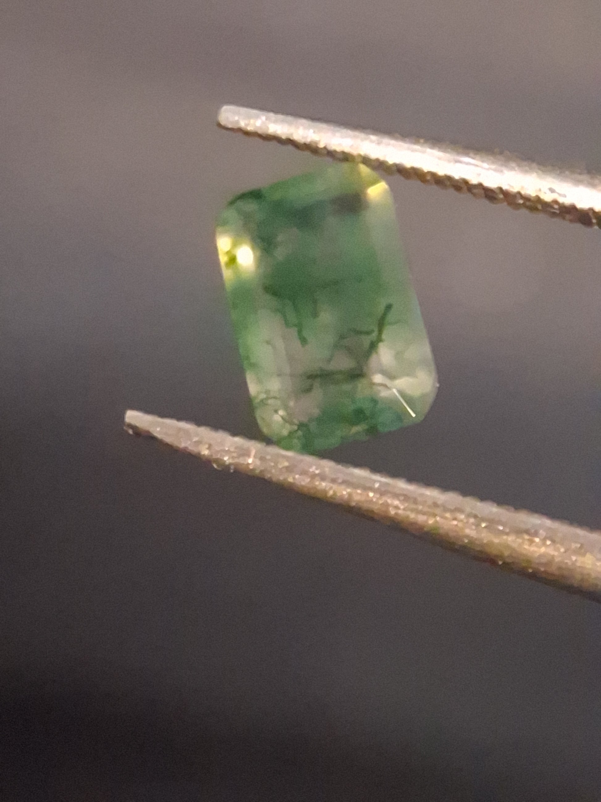 Natural Faceted Agate - Green Moss Agate - 0.480 ct - octagon - Natural Gems Belgium