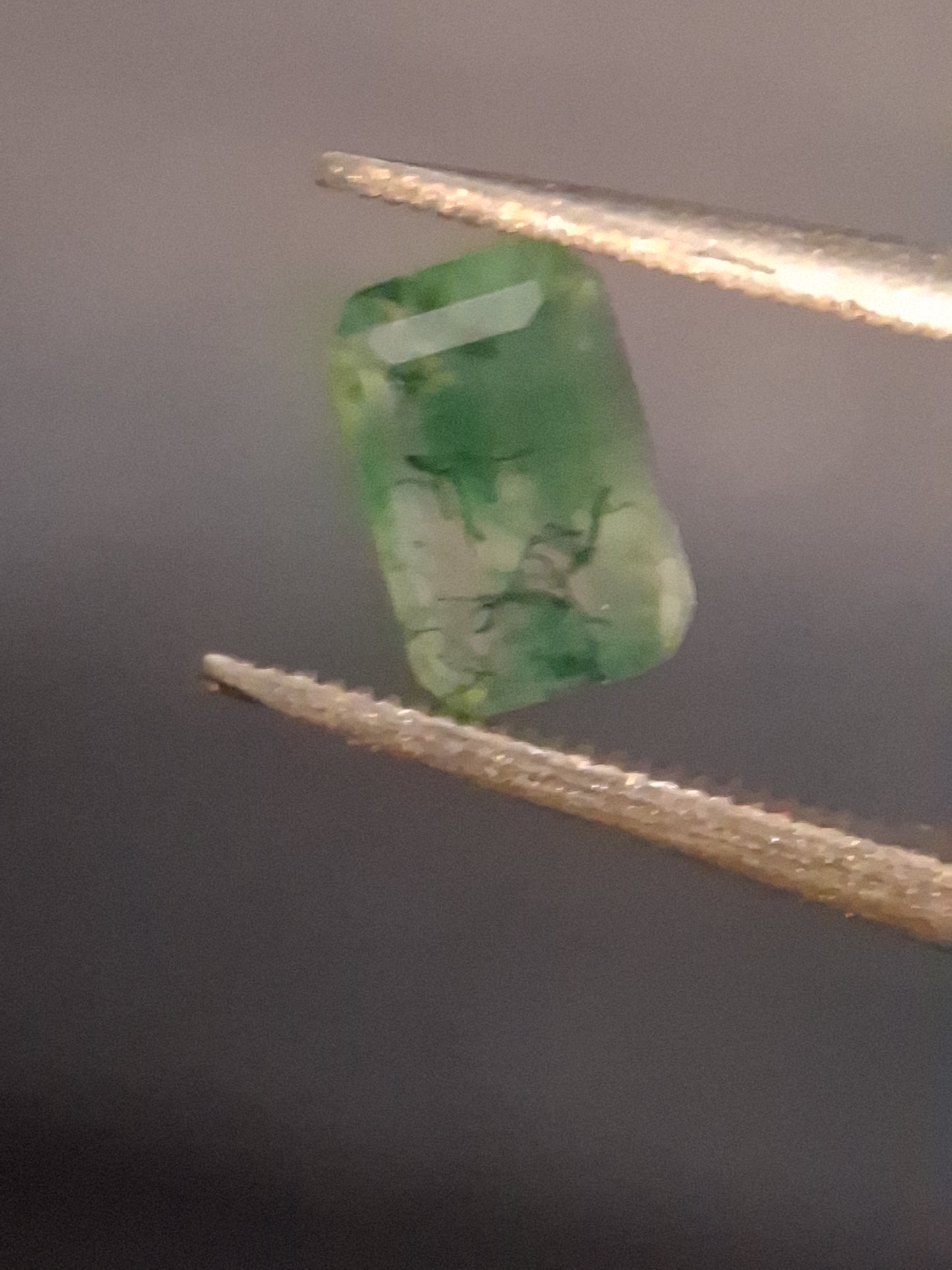 Natural Faceted Agate - Green Moss Agate - 0.480 ct - octagon - Natural Gems Belgium