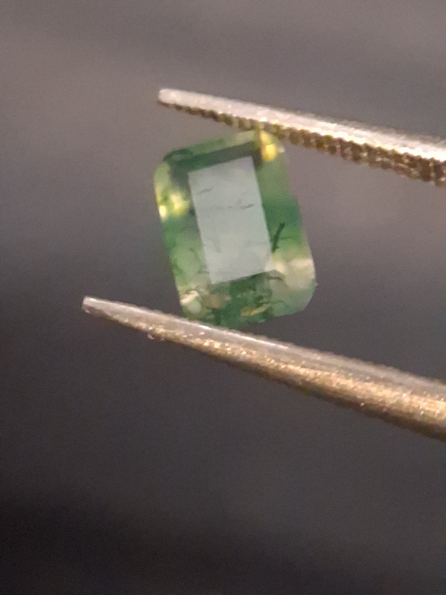 Natural Faceted Agate - Green Moss Agate - 0.480 ct - octagon - Natural Gems Belgium