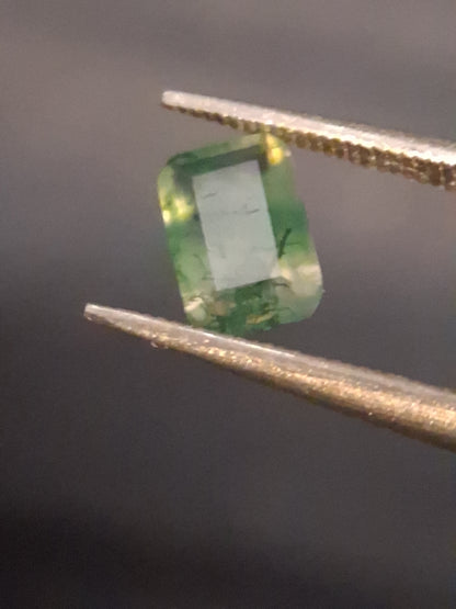 Natural Faceted Agate - Green Moss Agate - 0.480 ct - octagon - Natural Gems Belgium