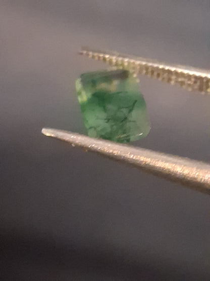 Natural Faceted Agate - Green Moss Agate - 0.480 ct - octagon - Natural Gems Belgium