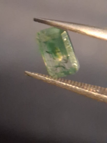 Natural Faceted Agate - Green Moss Agate - 0.480 ct - octagon - Natural Gems Belgium