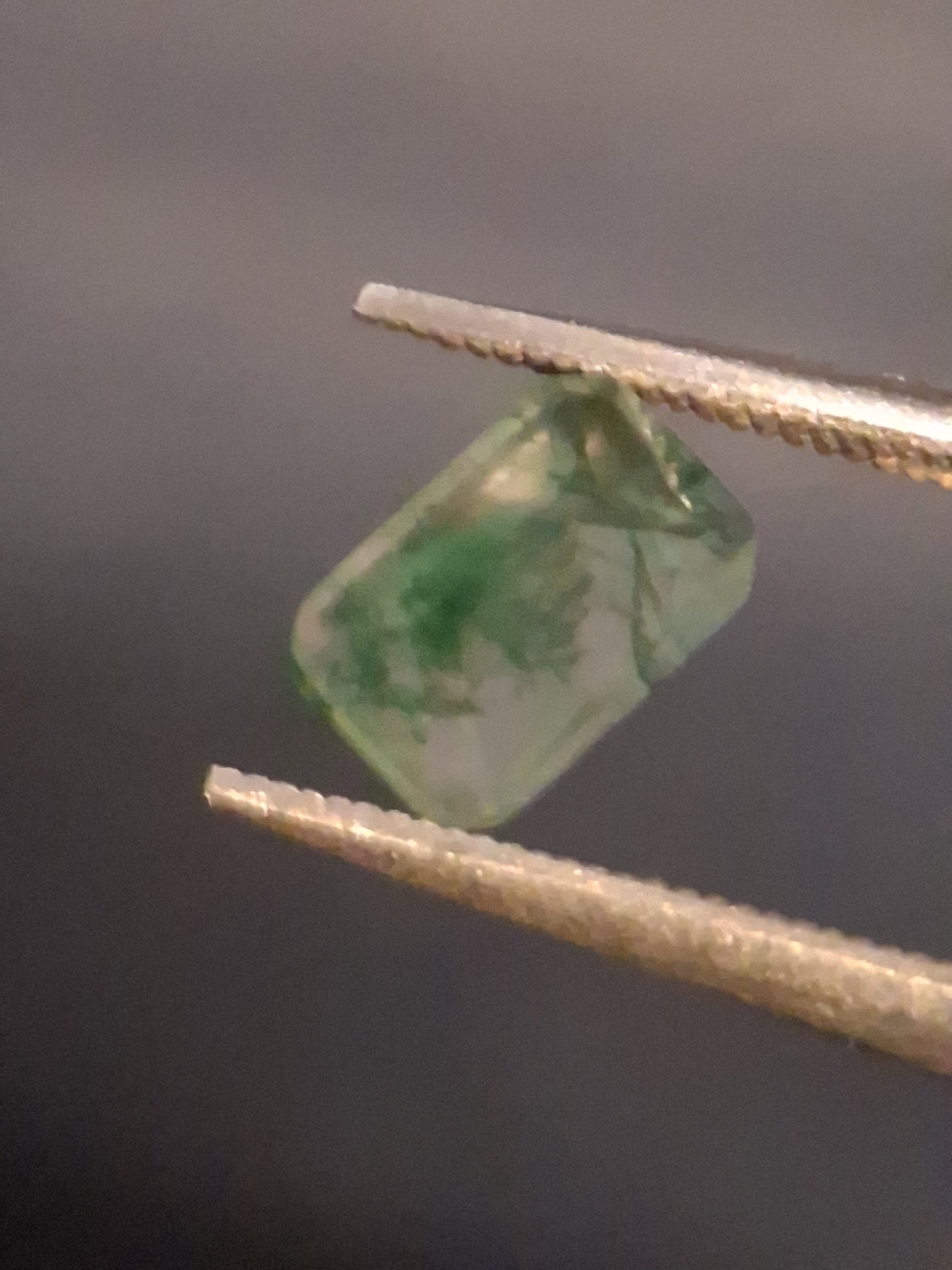 Natural Faceted Agate - Green Moss Agate - 0.480 ct - octagon - Natural Gems Belgium