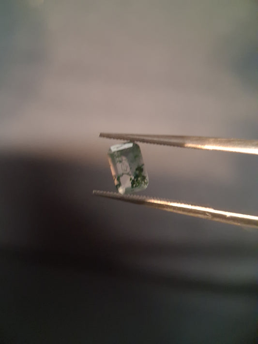 Natural Faceted Agate - Green Moss Agate - 0.478 ct - octagon - Natural Gems Belgium