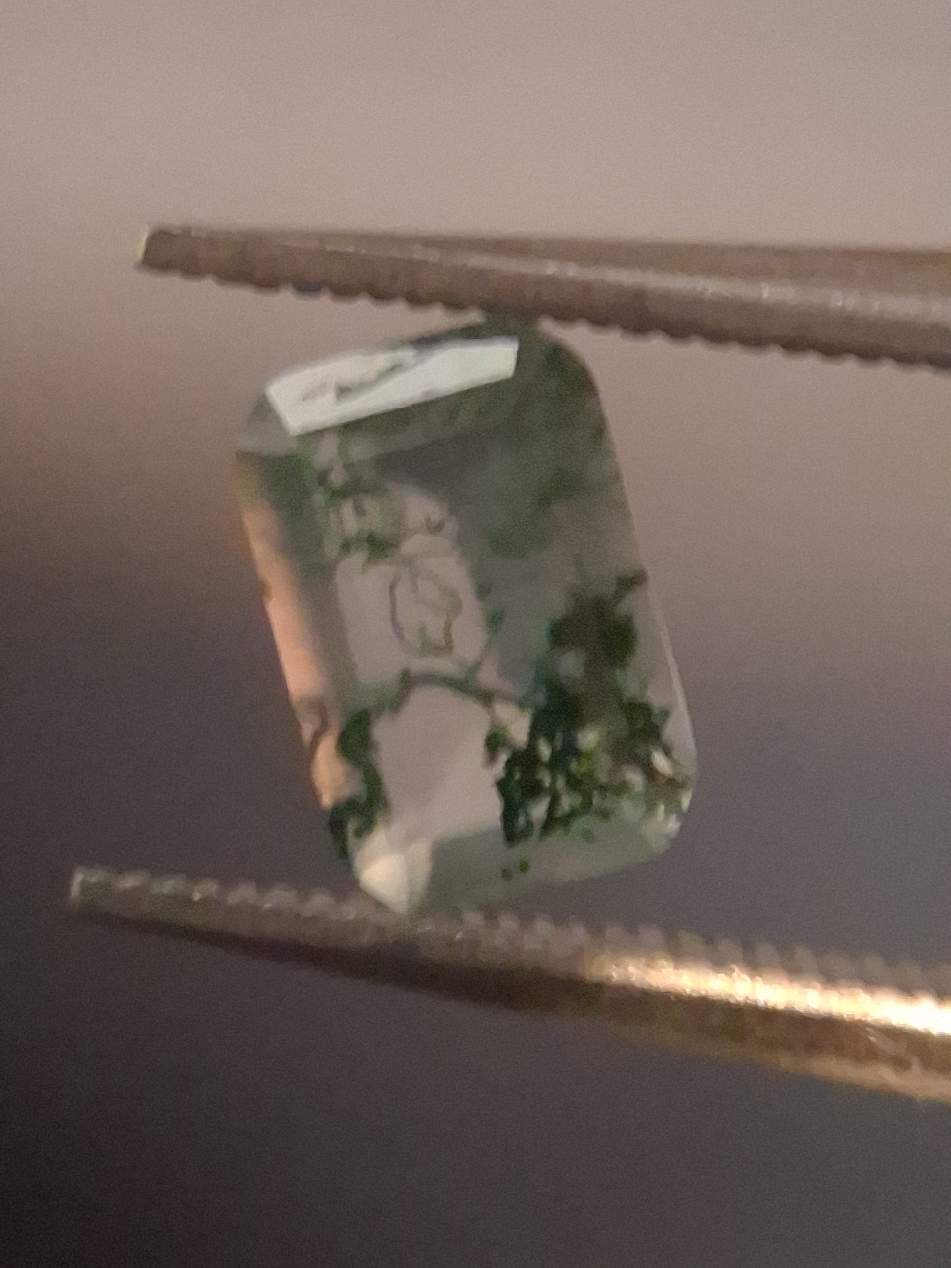 Natural Faceted Agate - Green Moss Agate - 0.478 ct - octagon - Natural Gems Belgium